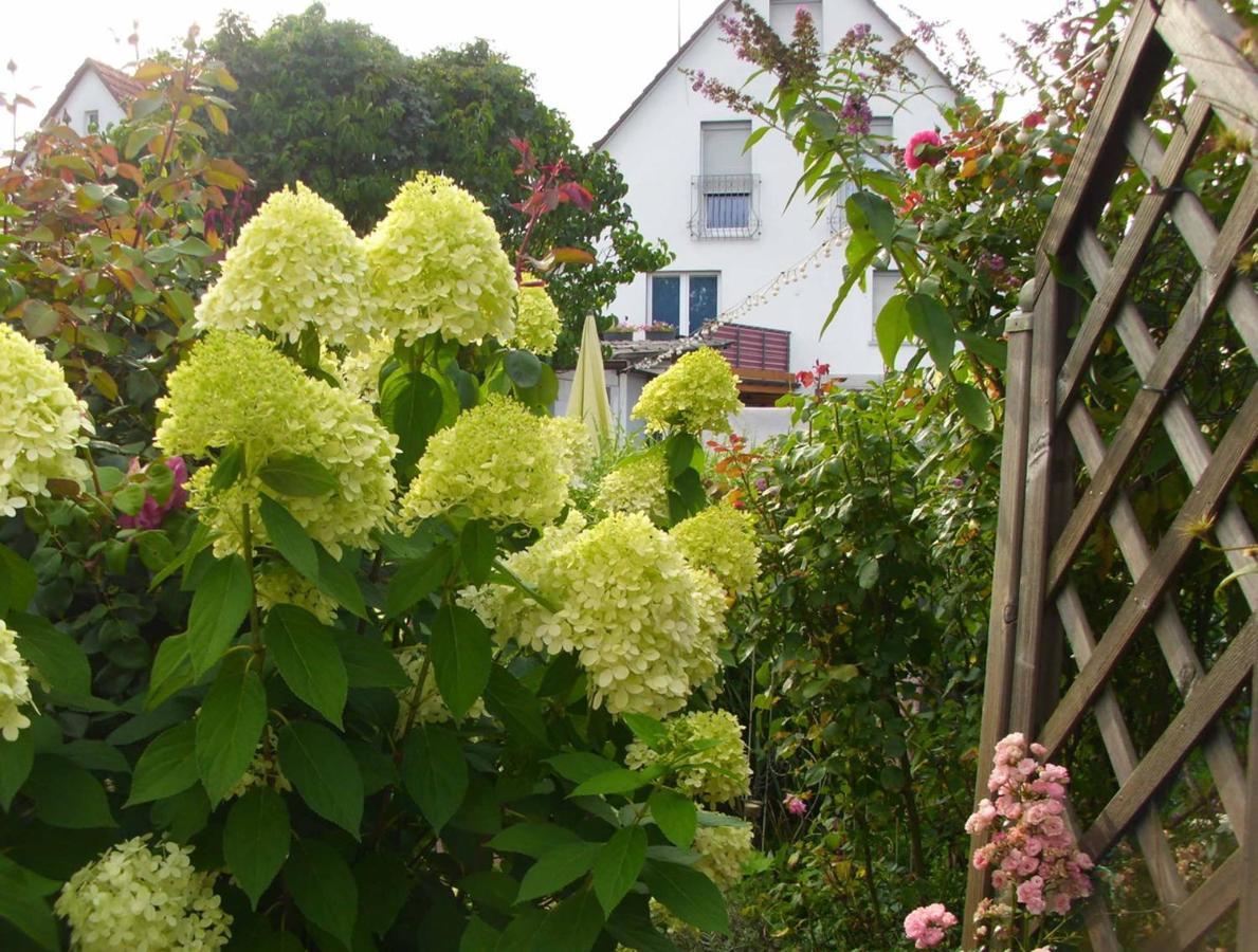 Ferienwohnung Gaby Marburg Luaran gambar